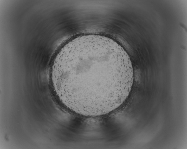 X0000096950632200803071029
