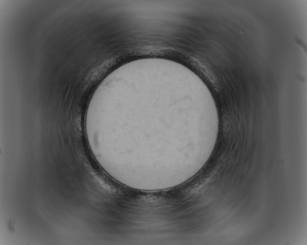 X0000096950633200803071029
