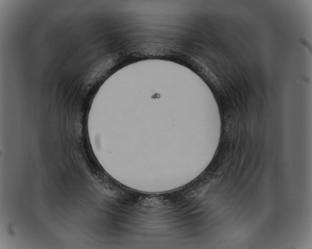 X0000096950635200803071029