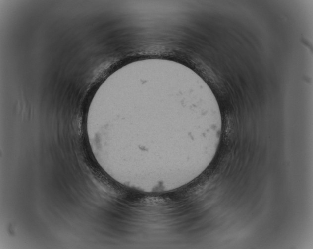 X0000096950636200803071029