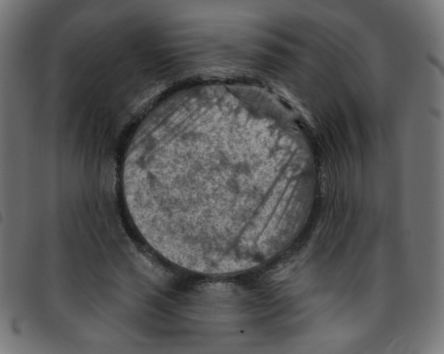 X0000096950637200803071029