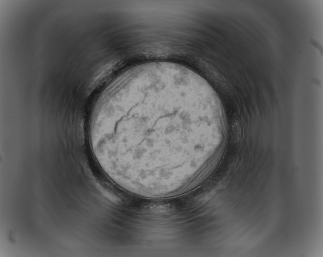 X0000096950638200803071029