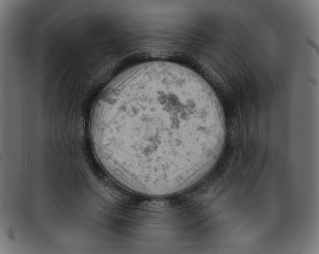 X0000096950639200803071029