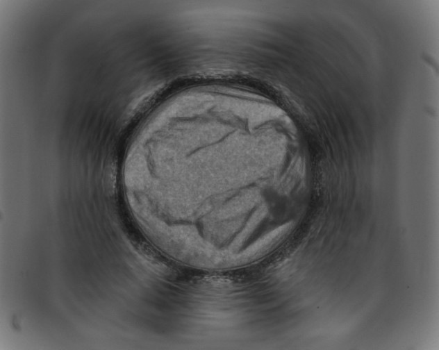X0000096950640200803071029