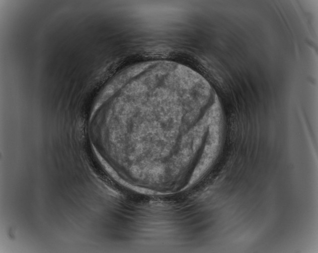 X0000096950641200803071029