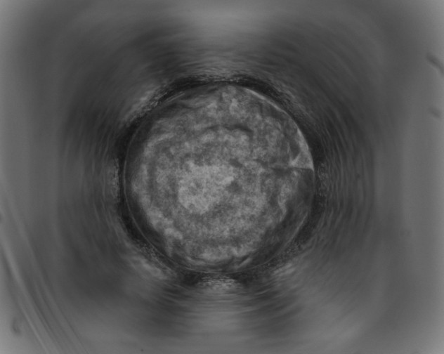 X0000096950642200803071029