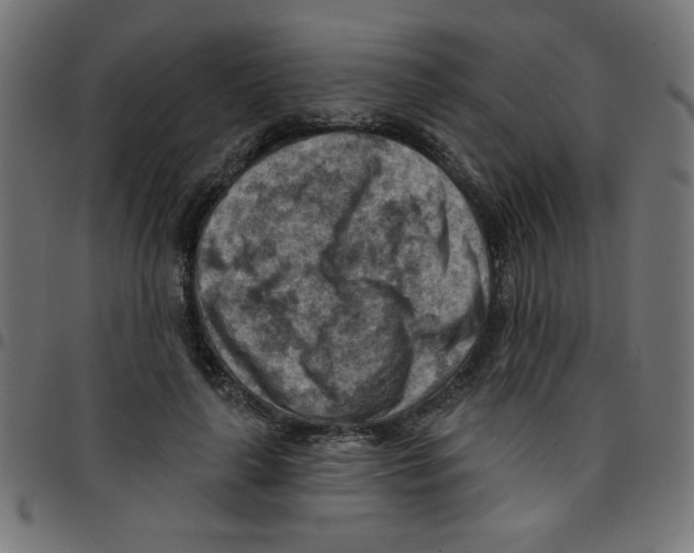 X0000096950643200803071029