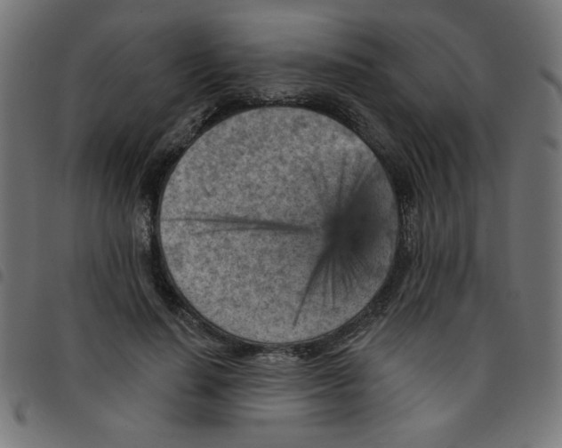 X0000096950644200803071029