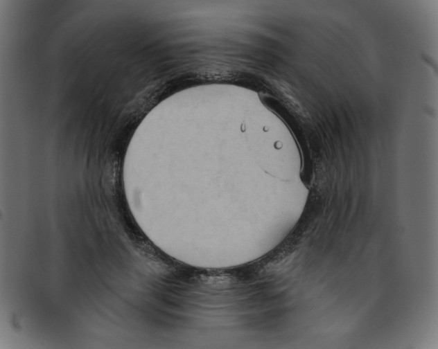 X0000096950645200803071029