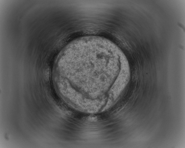 X0000096950647200803071029