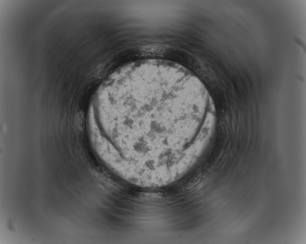 X0000096950649200803071029
