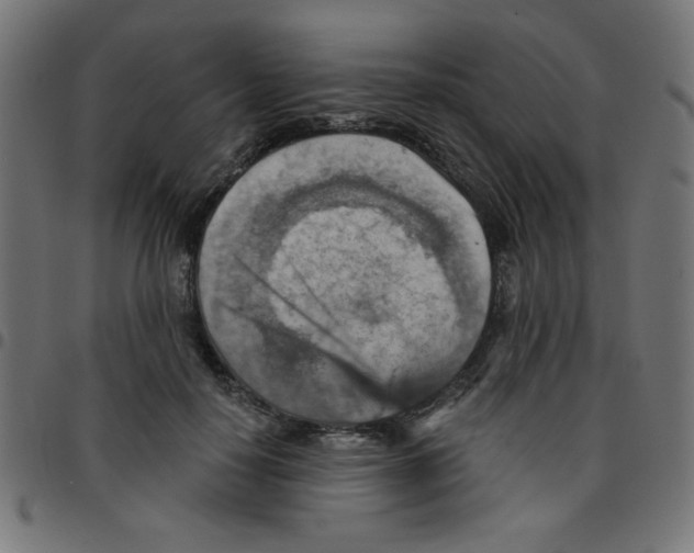 X0000096950650200803071029
