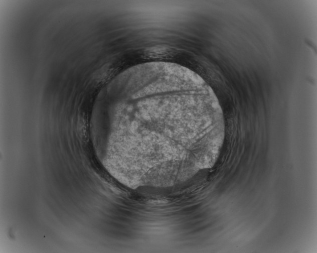 X0000096950653200803071029