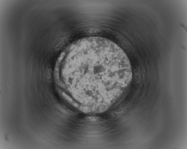 X0000096950654200803071029