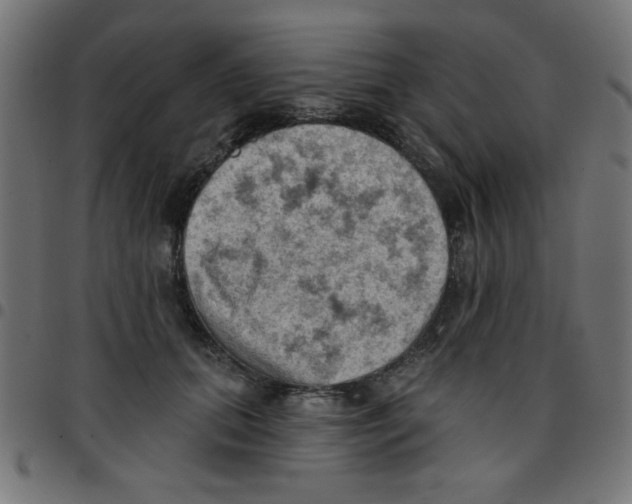 X0000096950655200803071029
