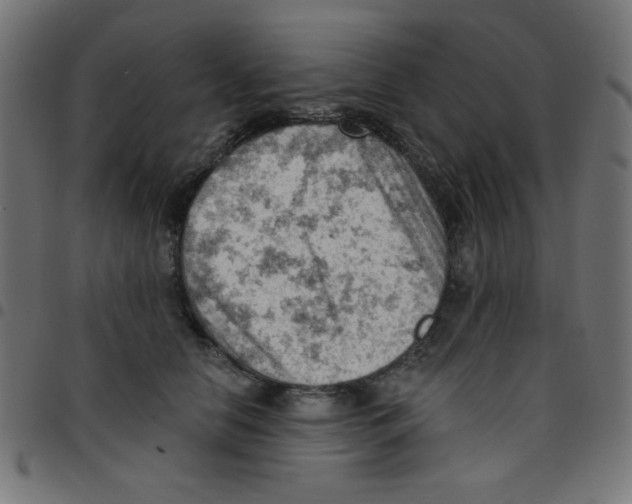 X0000096950658200803071029