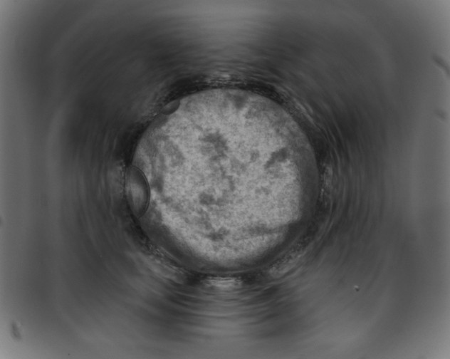 X0000096950659200803071029
