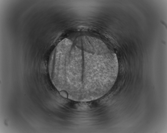 X0000096950661200803071029