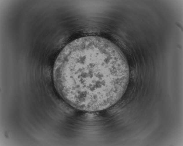 X0000096950662200803071029
