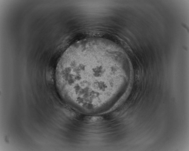 X0000096950663200803071029