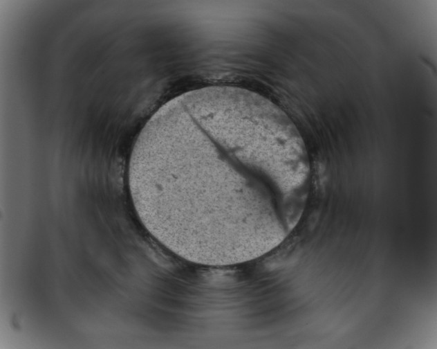 X0000096950664200803071029