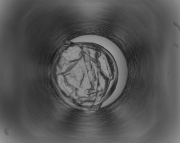 X0000096950665200803071029