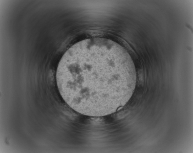 X0000096950667200803071029