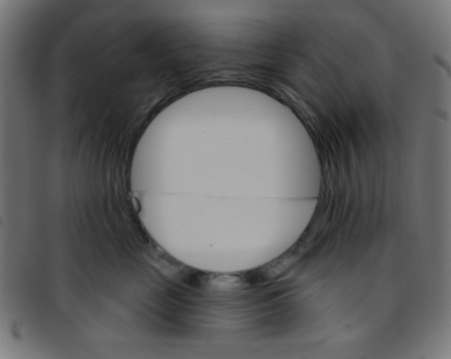 X0000096950669200803071029