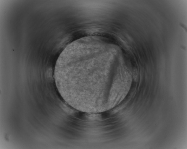 X0000096950670200803071029