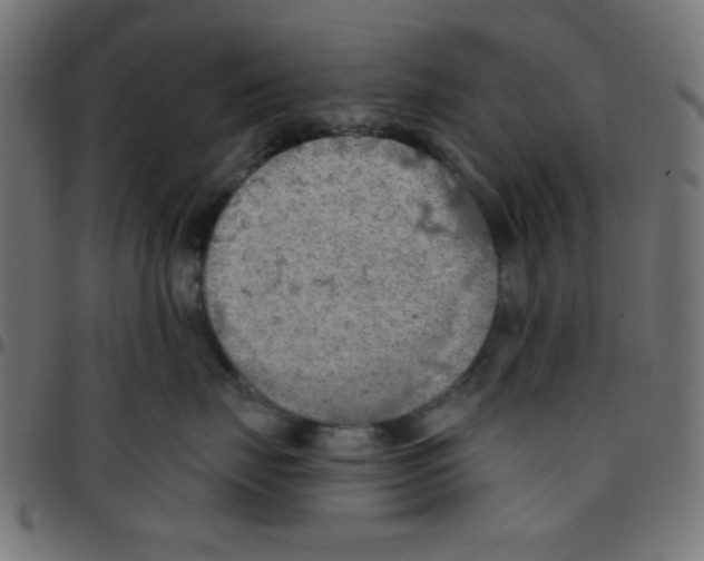 X0000096950671200803071029