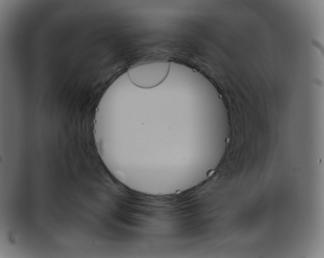 X0000096950672200803071029