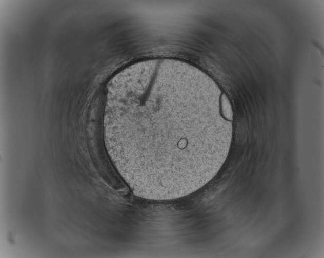 X0000096950673200803071029