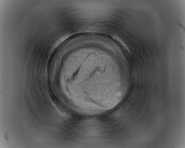 X0000096950674200803071029