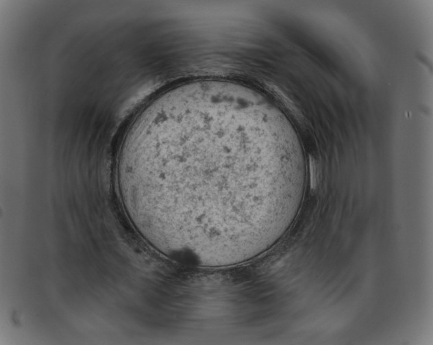 X0000096950675200803071029