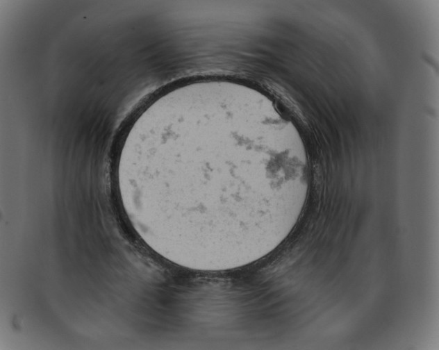 X0000096950676200803071029