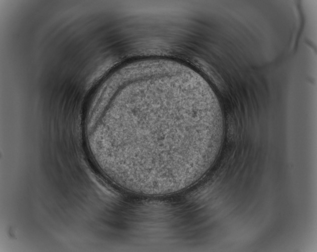 X0000096950677200803071029