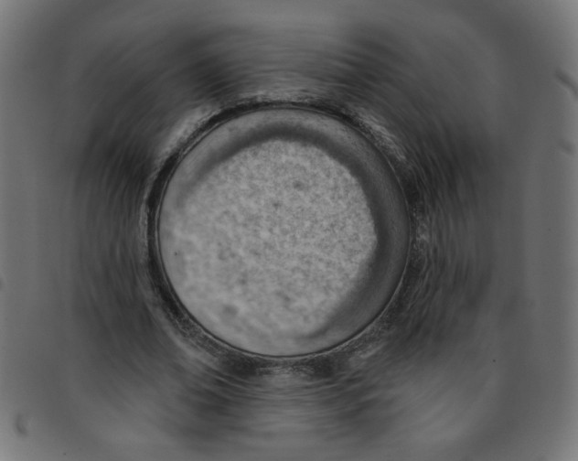 X0000096950678200803071029