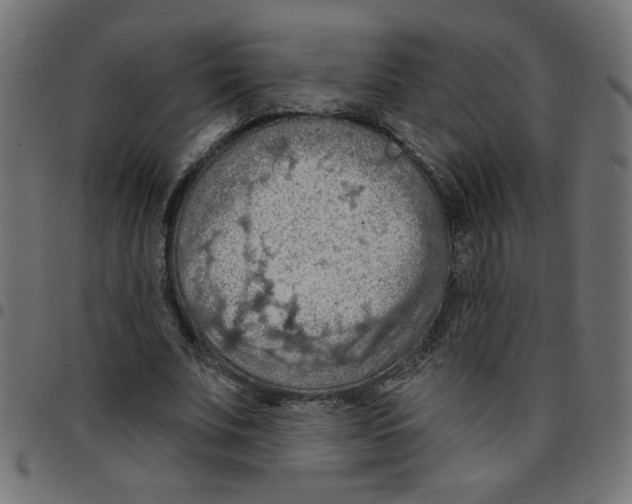 X0000096950679200803071028