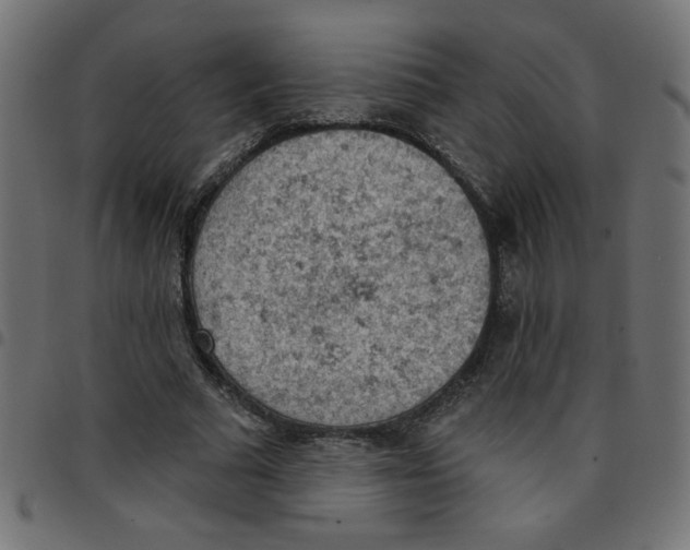 X0000096950681200803071028