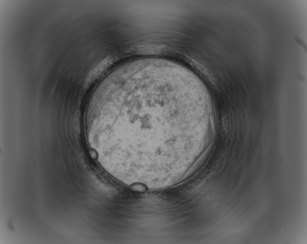 X0000096950682200803071028