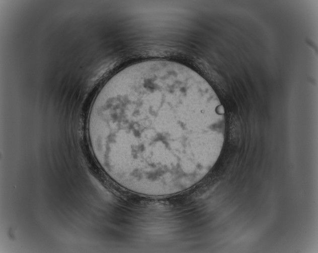 X0000096950683200803071028