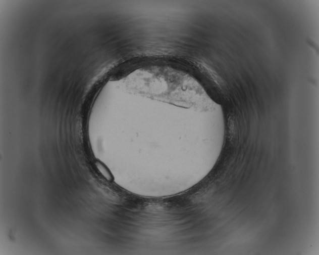 X0000096950684200803071028