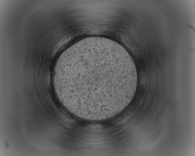 X0000096950685200803071028