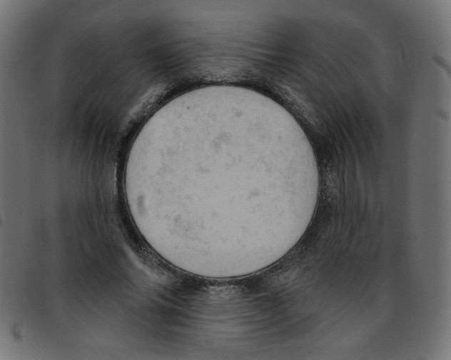 X0000096950686200803071028