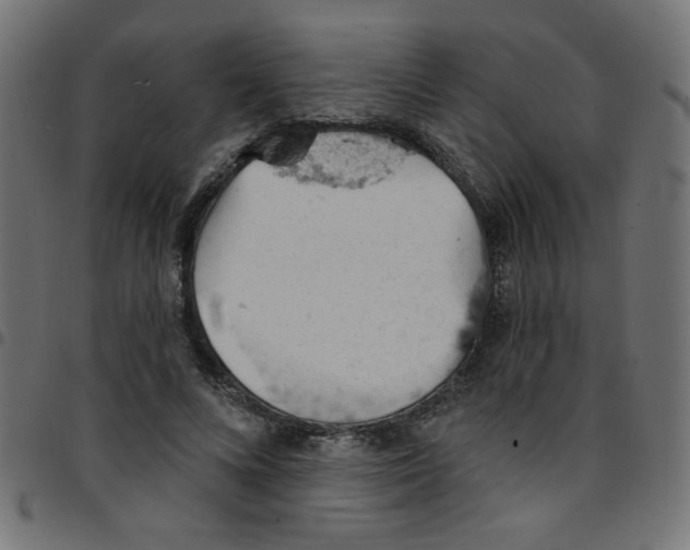 X0000096950688200803071028