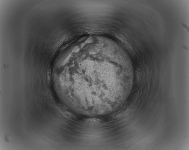 X0000096950691200803071028