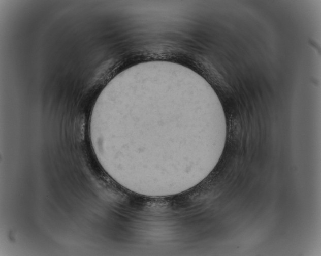 X0000096950694200803071028