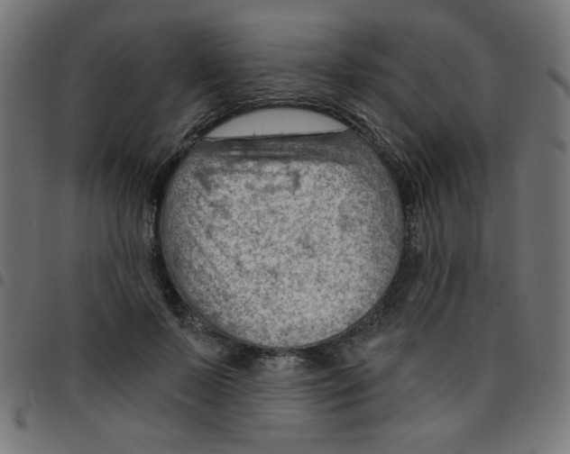 X0000096950695200803071028