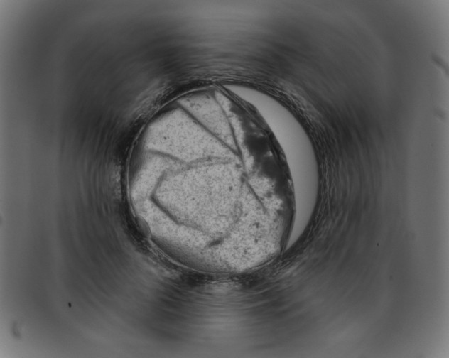 X0000096950696200803071028