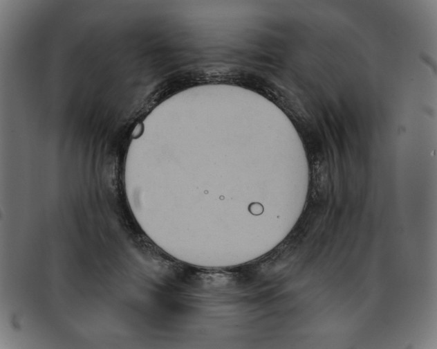 X0000096950698200803071028